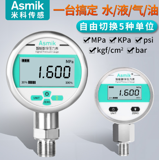 壓力表廠家的技術(shù)革新與市場應用